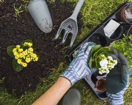 Reprise des prestations d’entretien de jardin dès le mois de mars